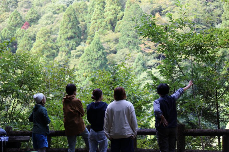 鳥取県智頭町 鳥取森林サービス産業振興協議会 森林サービス産業マッチングプラットフォーム 地域の森からラブコール