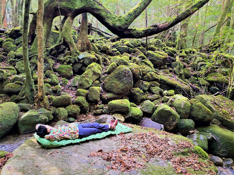 屋久島ウェルネスツーリズム協会 鹿児島県熊毛郡屋久島町 Forest Style Jp 森と人と フォレストスタイル