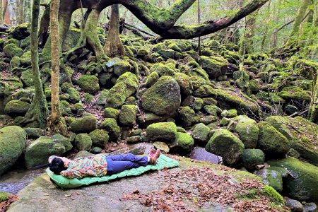 屋久島で、森林浴に温泉に <br>人気のサウナも！